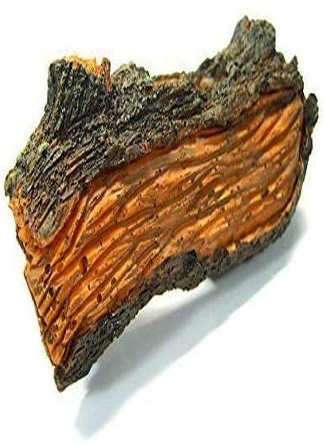 CORISRX Betta Log Decaying Trunk 4.3 inches Driftwood Decor - Small Wooden Fish Tank Freshwater Decorations Aquarium Ornament Tree Plants Wood - Image 2